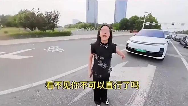 司机气到流产公布完整行车记录仪河北女司机与骑手冲突后续：女(图8)